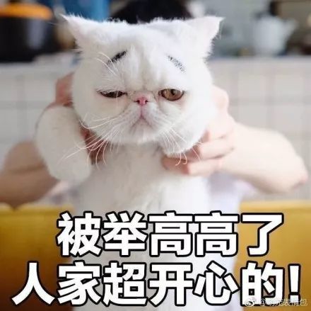 表情包你在吃什么有我的吗