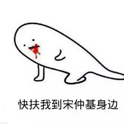  一大早就吃了一波很服气的的狗粮