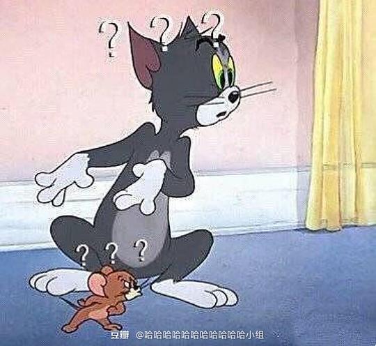  宋威龙99的相册收藏的好玩沙雕表情包