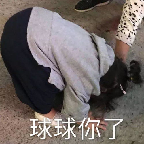  对象生气了怎么办发这套表情包给他,一哄一个准