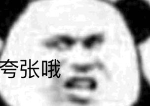  神器来了全国有多少人和你同名手机就能查