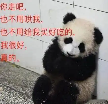 熊猫是假扮的证据找到了,这只熊猫会掐腰,为此有人画了漫画 熊猫是假扮的证据找到了,这只熊猫会掐腰,为此有人画了漫画