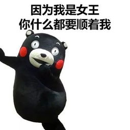  护肤营养满满的一锅冬季护肤大补剂