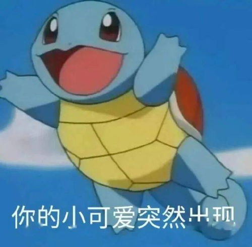  校运新世代,谁是你的菜