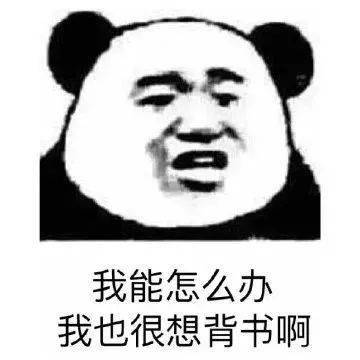  你想要的沙雕表情包,我都能安排