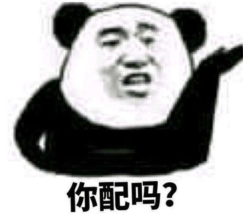 金馆长系列表情包没有你