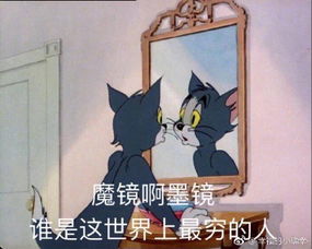  承认吧这就是双11的你