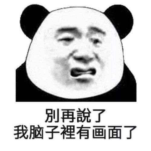  熊猫头表情包我懂,我会照顾好嫂子的