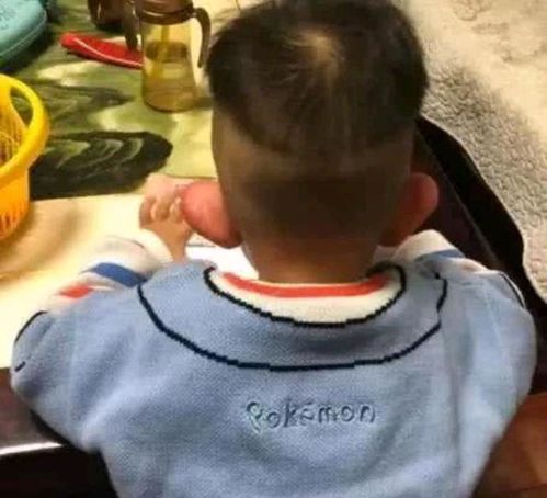  每日一笑什么事一惊一乍的啊,喵喵