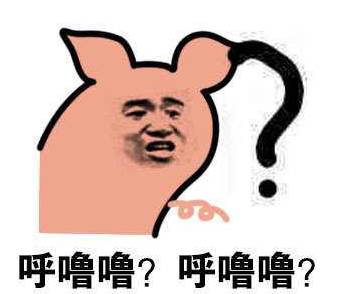 画圈圈表情包视频问号