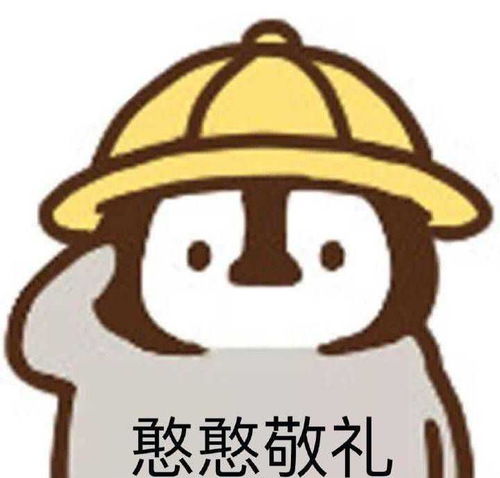 废柴学姐含泪总结的信管攻略