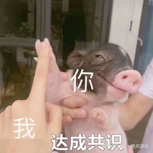  情人节没有问候没有联系,是不是可以放弃了