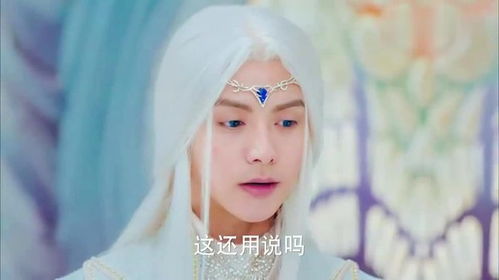  幻城卡索被火燚变成废人,岚裳拜托圣尊帮冰族修复冰幕