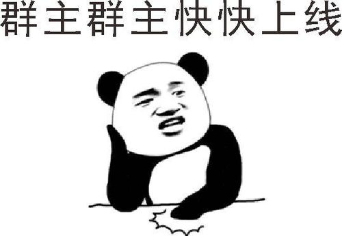  调戏群主表情包合集