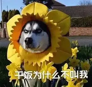 可爱沙雕表情包精神小伙,不请自来 可爱沙雕表情包精神小伙,不请自来