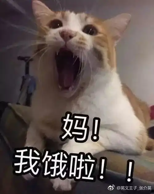 一起整个小孩表情包霹雳