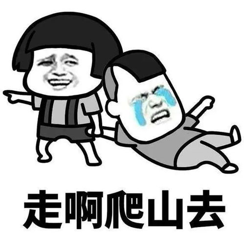 五一旅游黄金季爬山登高莫任性 五一旅游黄金季爬山登高莫任性