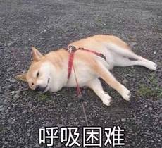  这些笑点,只有做护士的才能get到