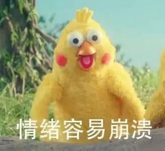  表情包鹦鹉兄弟,谁说成人的世界没有容易二字