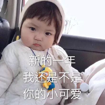  表情包改革春天吹满地,你的老婆真争气