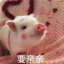  告诉我,2017年你最爱的美妆护肤品是啥我送你tomford口红