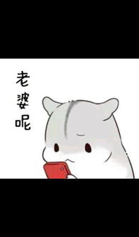  求小仓鼠hamham的表情包老公老婆,小娘子,夫君君系列的