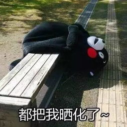  运动会皇家西大校运会震撼来袭