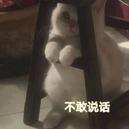 分享小事 分享小事