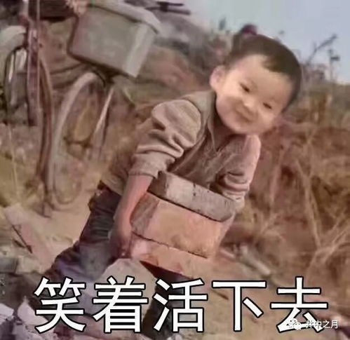 渴望的小眼神表情包搬砖