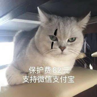 沙雕表情爷的眼泪在眼中打转 沙雕表情爷的眼泪在眼中打转