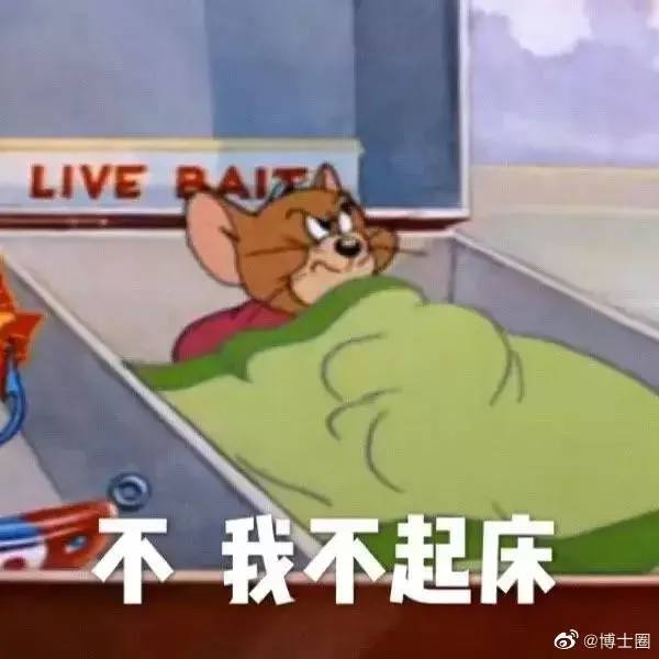  今日最佳导儿与学生