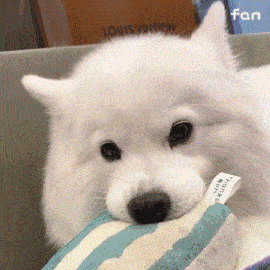  抖音热门表情包