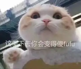 据说,99.9的人都有这么一种空耳绝技歌词
