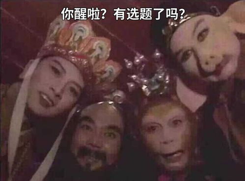  你这气质,一看就是搞新闻的表情包揭秘我们一天都在干嘛