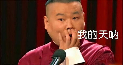 德云社成员图片表情包猪