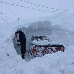  西伯利亚东方野兽寒流横扫欧洲,北欧至地中海岸降超级暴雪