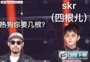 嘻哈skr表情包下载嘻哈表情包skr下载飞翔下载