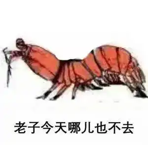 下面有请表情包界最美味的皮皮虾作自我介绍 下面有请表情包界最美味的皮皮虾作自我介绍