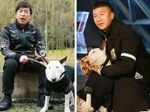 胡歌谢娜曾演青梅竹马武林外传里有张艺兴 胡歌谢娜曾演青梅竹马武林外传里有张艺兴