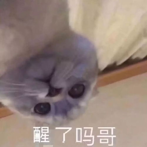 来一份瑟图表情包刀子