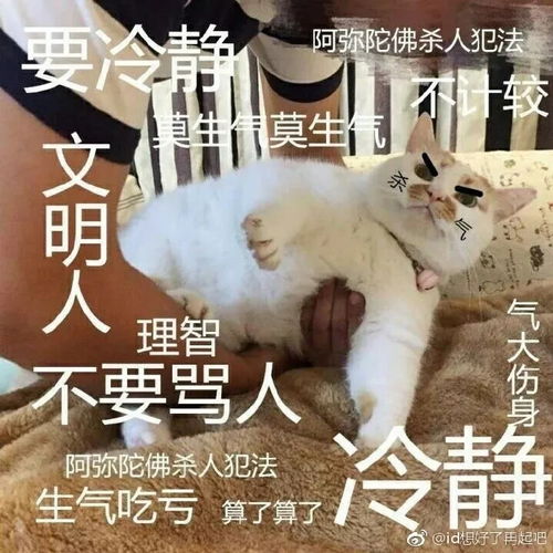  希望你们都别遇到这样的甲方