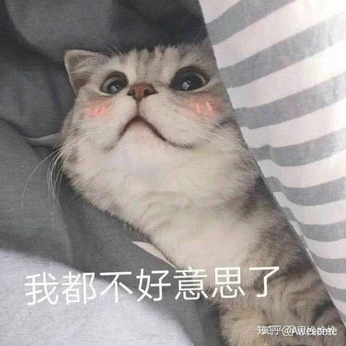  海中月是天上月
