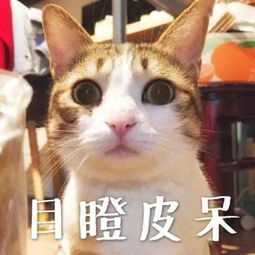  课堂第二讲丨聊聊保险合同时间那点事儿