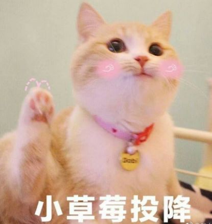 呜呜呜呜的表情包可爱舔