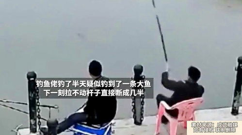  钓鱼佬钓了半天疑似钓到了一条大鱼拉不动杆子直接断成几半