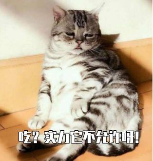  猫咪突然不爱吃猫粮了是什么原因该怎么办