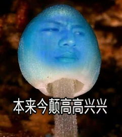  大爷囫囵吞下整个香菇腹痛三天小肠被切