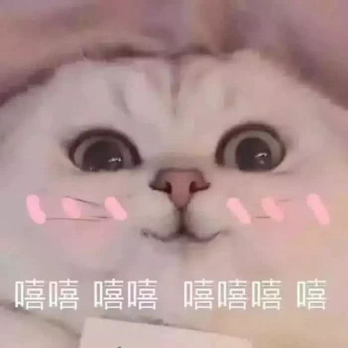  表情很黄很暴力的表情包,分分钟撂倒男神最后一张没胆发腾讯新闻表情