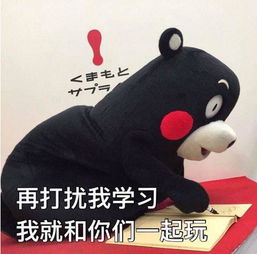  一大波熊本熊and明星表情包正在向您袭来