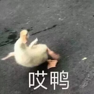  搞笑一刻给暗恋的女神发消息